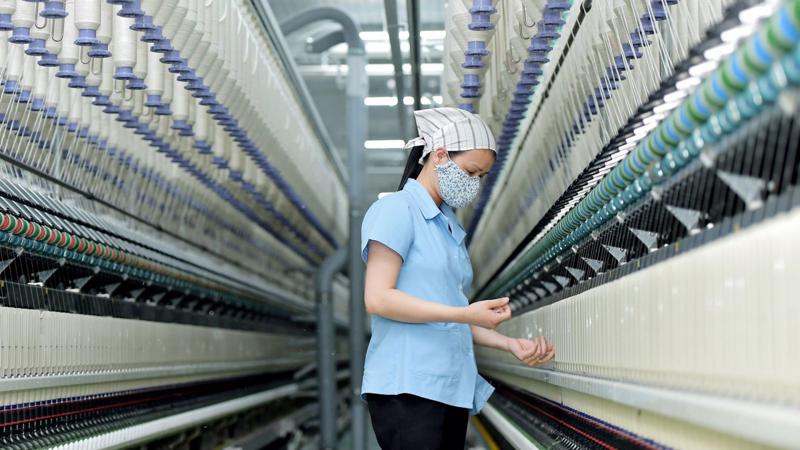 Les exportations de fibres prospèrent grâce à la forte hausse des prix